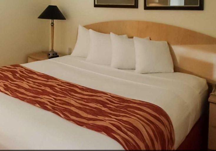 Rodeway Inn South Miami - Coral Gables Exteriör bild